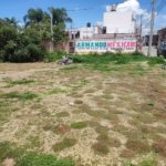 Whatsapp Image 2024 08 26 At 17.28.20 (2)