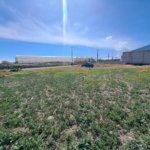 Imagen De Whatsapp 2024 01 15 A Las 12.43.08 C71081f9