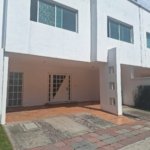 Whatsapp Image 2024 11 11 At 2.46.44 Pm