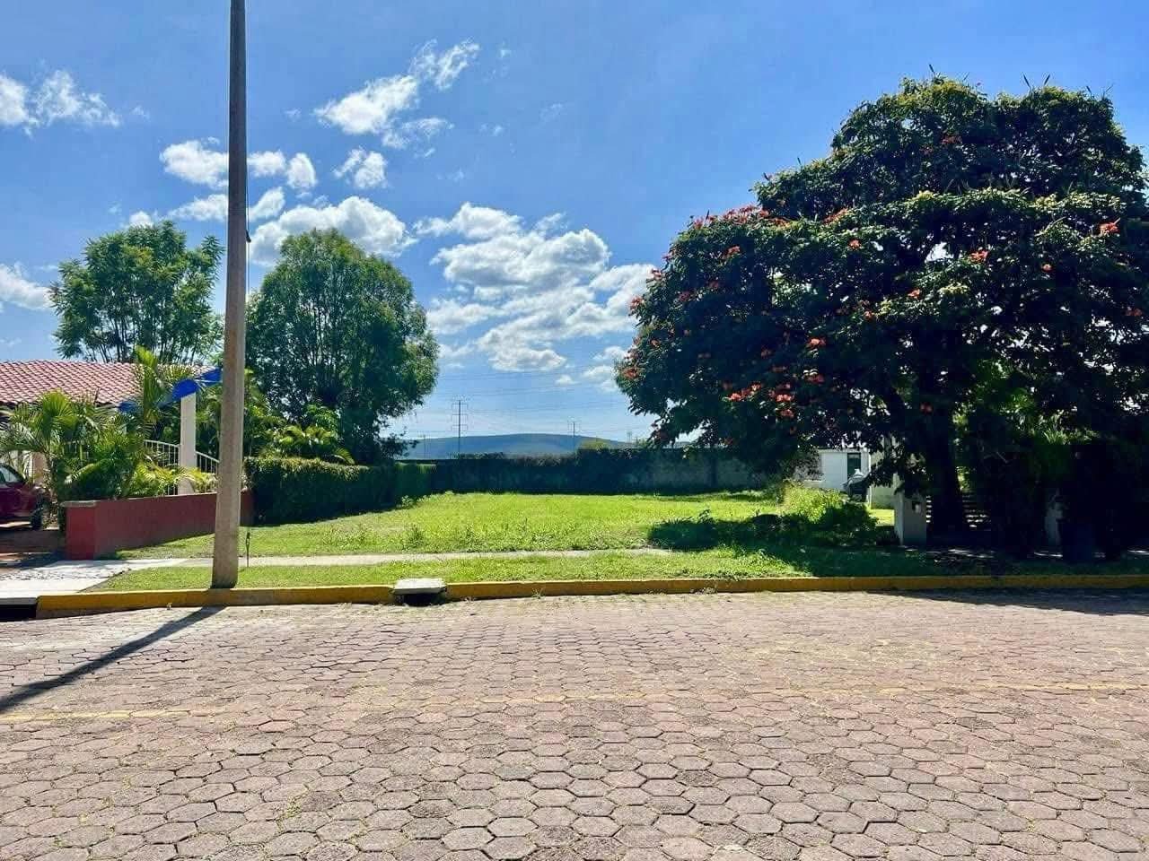 WhatsApp Image 2025-09-01 at 10.41.51 AM (1)