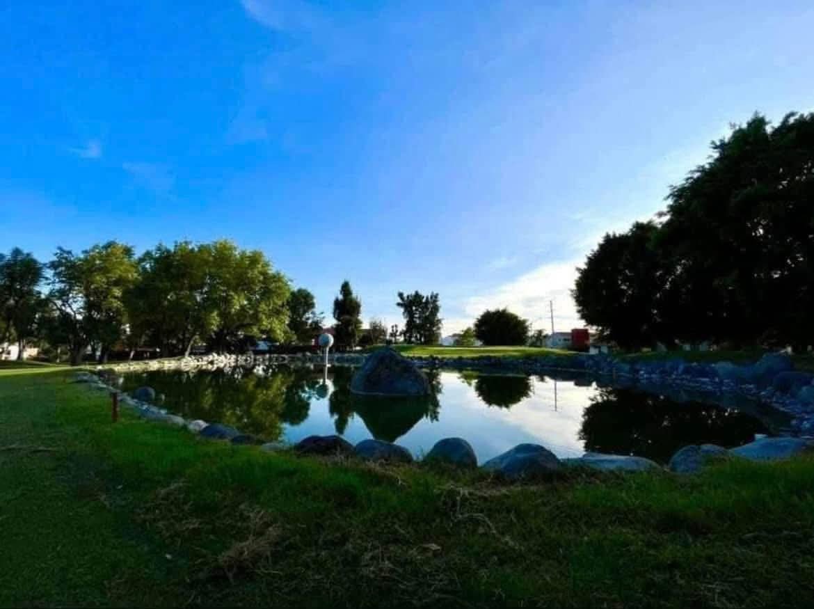 WhatsApp Image 2025-09-01 at 10.41.51 AM