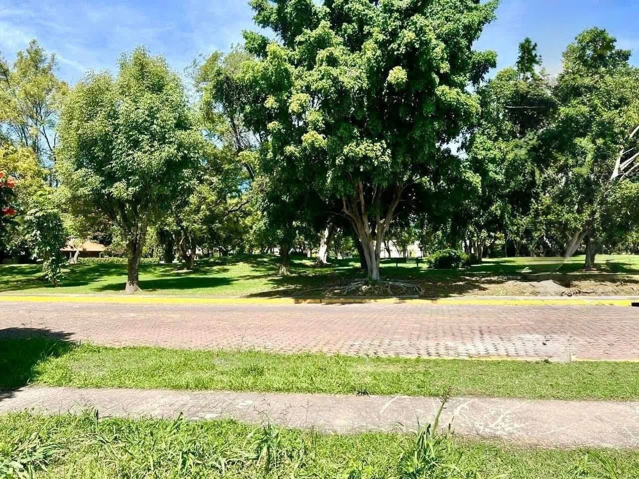 WhatsApp Image 2025-09-01 at 10.41.52 AM