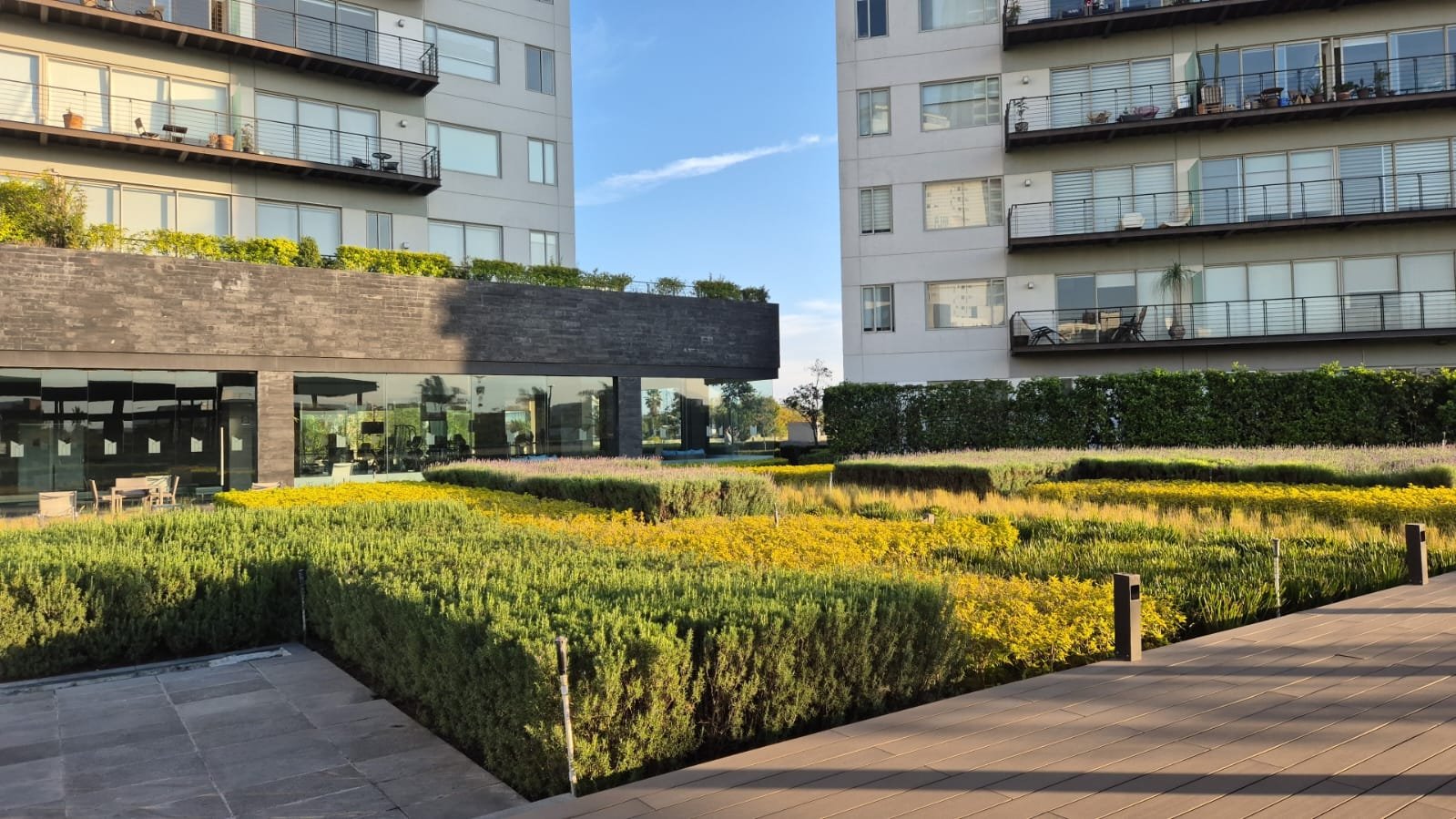 WhatsApp Image 2025-12-11 at 2.29.16 PM (1)