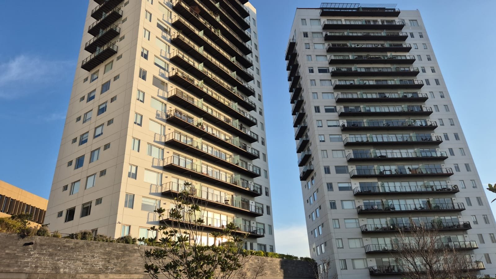 WhatsApp Image 2025-12-11 at 2.29.17 PM