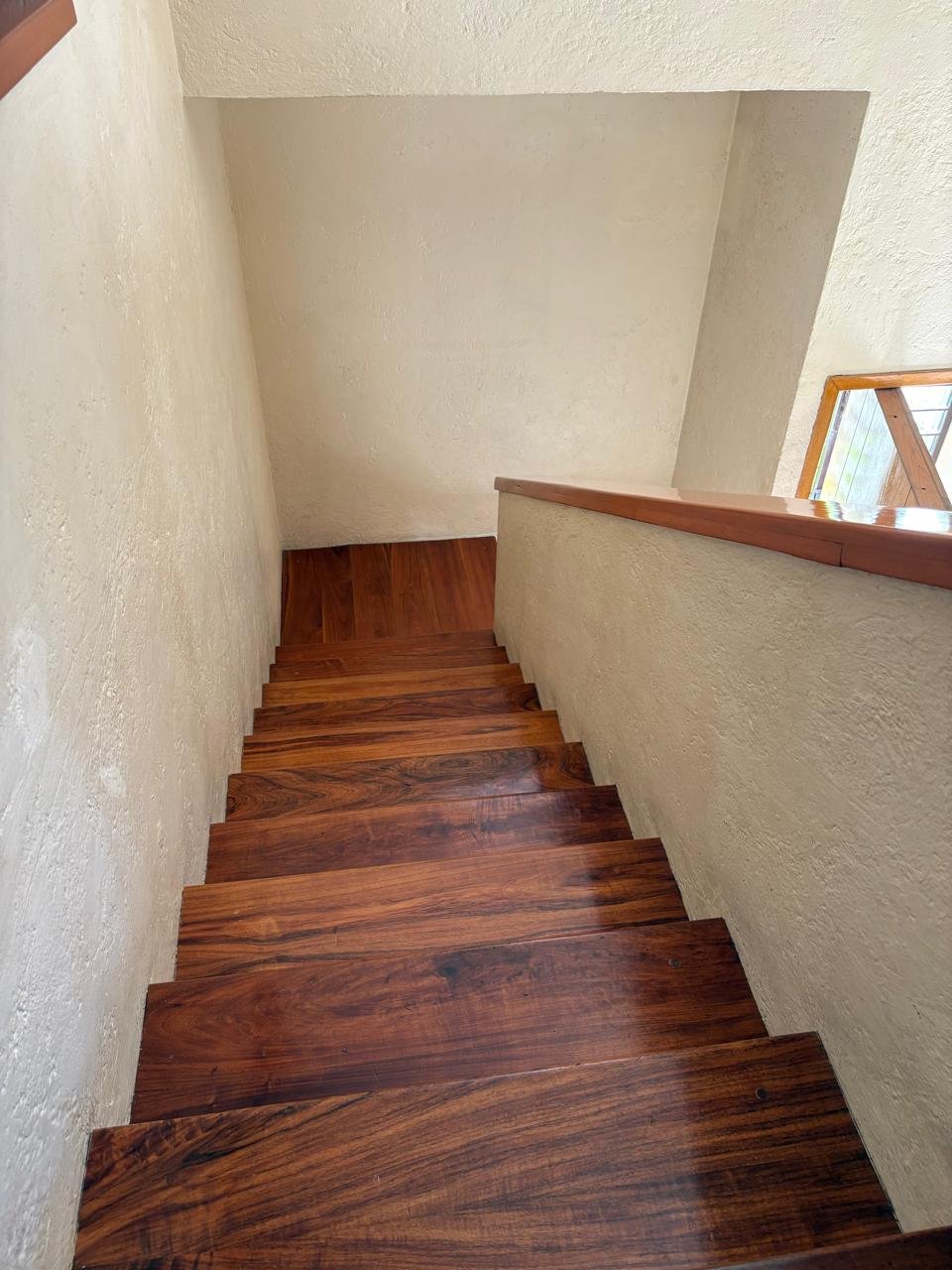 19cc5556-0062-4795-80b9-8c9d69e065a1