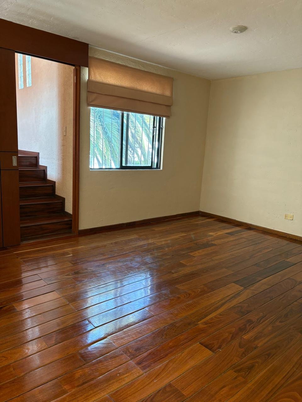 67d03a14-34ad-4f4c-8cc0-88b89a130d73