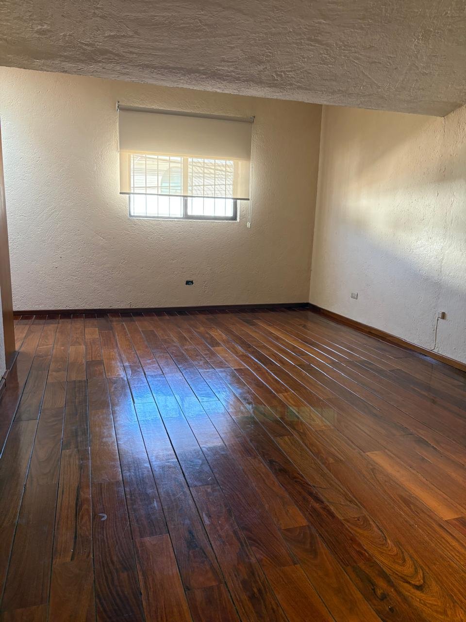 d22aeb1e-2ec5-4f54-9721-cd042ca3ffeb