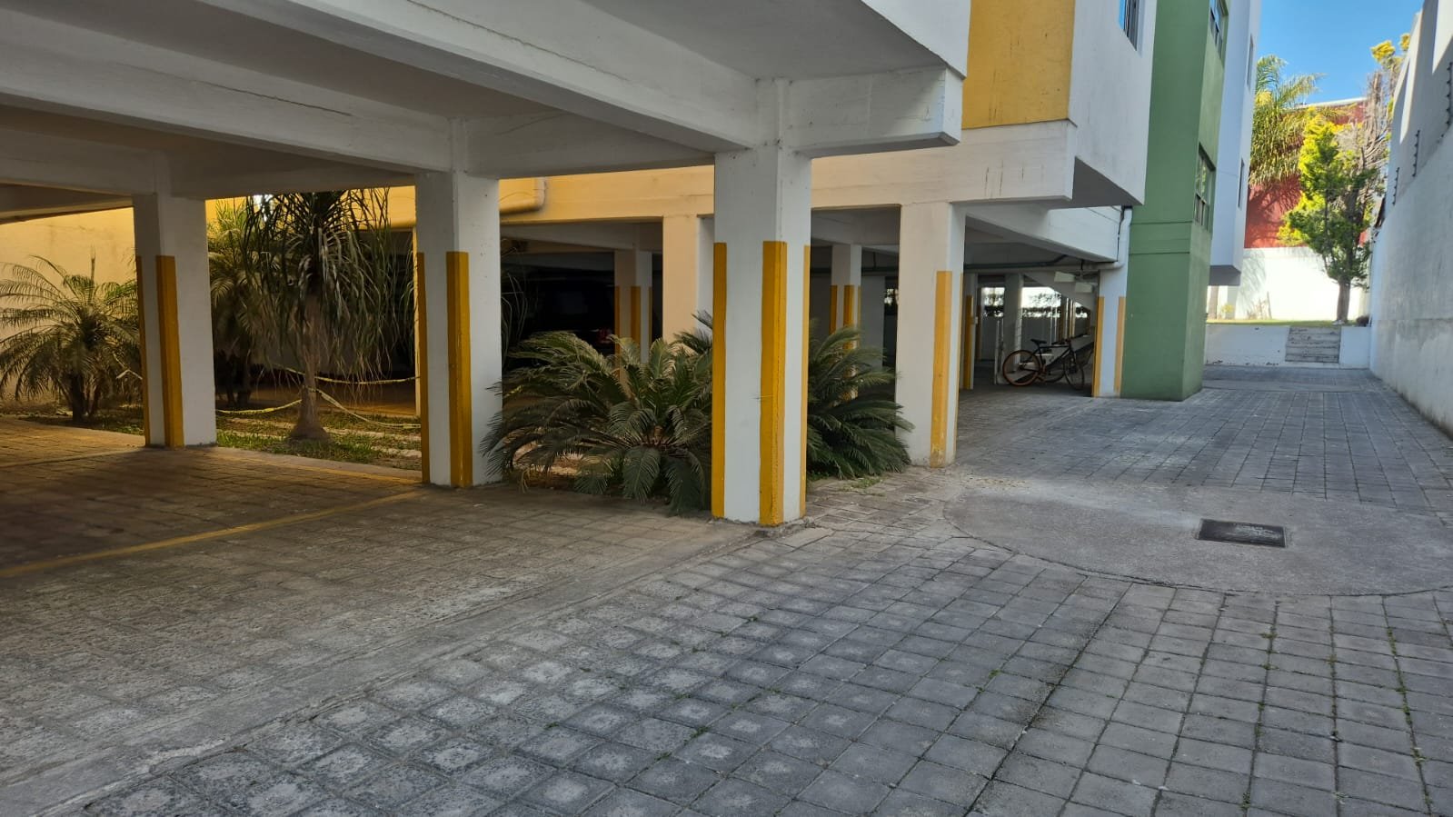 WhatsApp Image 2026-02-12 at 3.19.44 PM (3) Whats App Image At 3.19.44 PM (3)